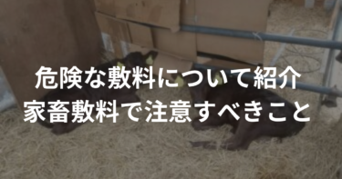 家畜敷料で注意すべきこと｜子牛の発育不良と敷料の関係を解説